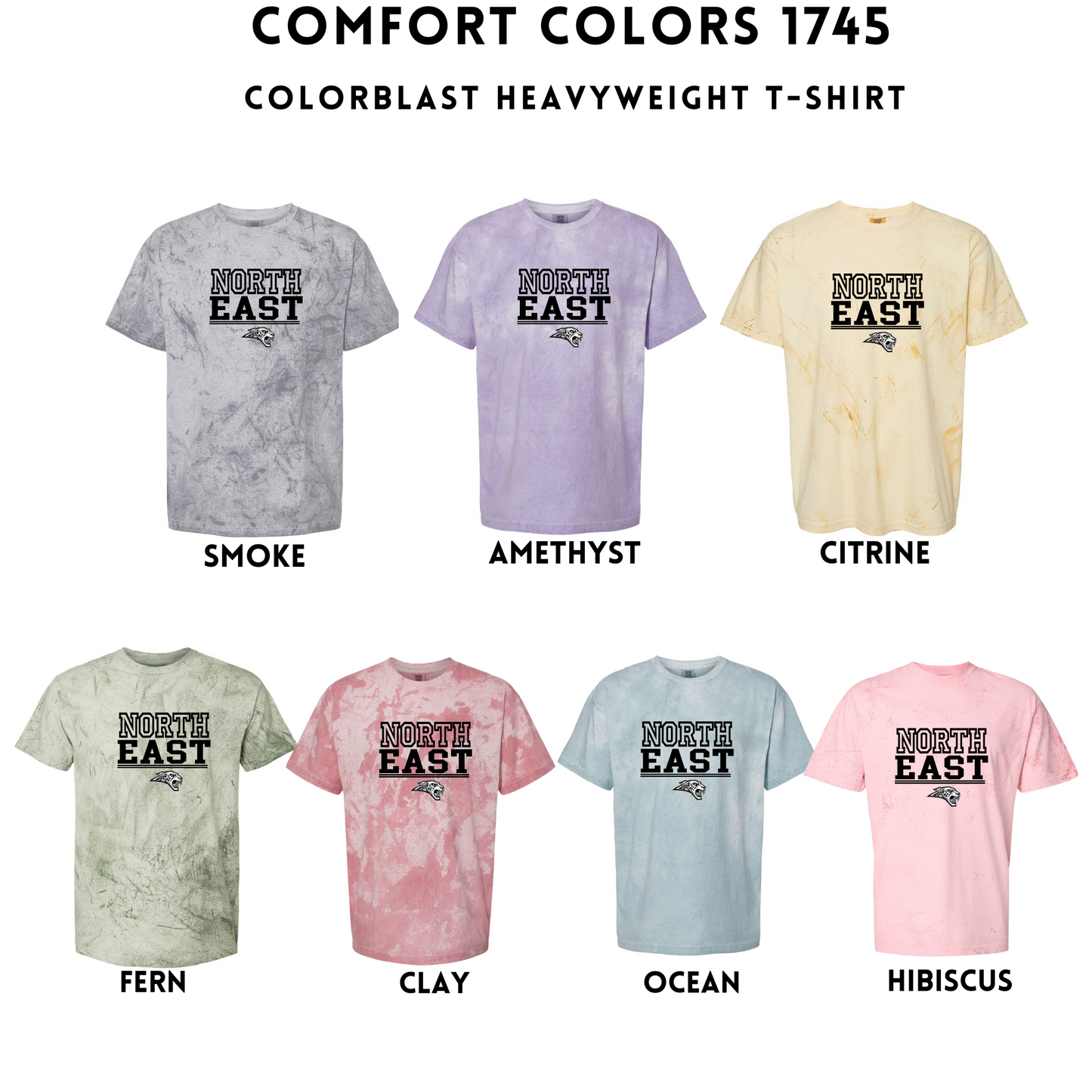 Comfort Colors - Unisex Colorblast tee & Crewneck (NE Elementary Staff)