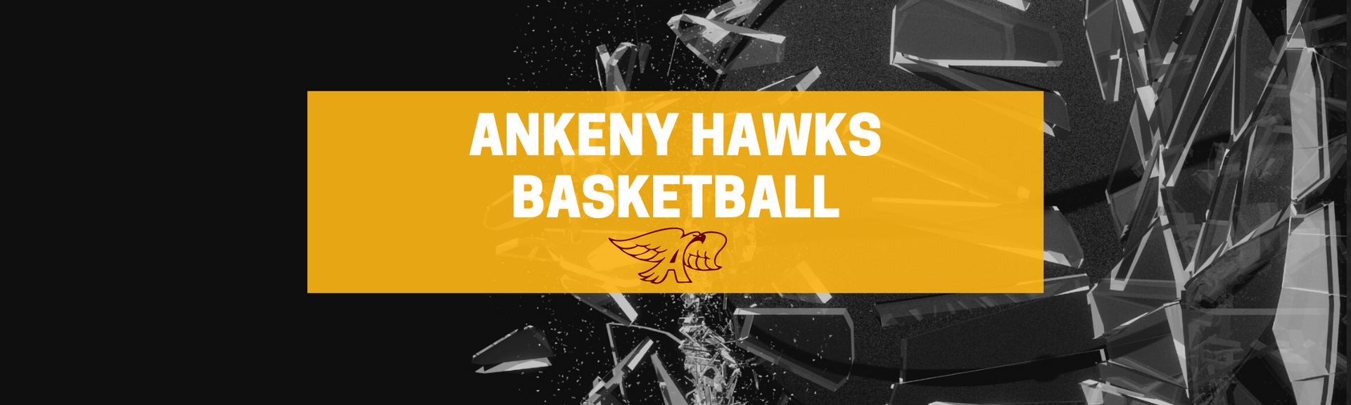 Ankeny Hawks Basketball Collection