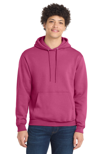 Adult & Youth Hoodie | Webster Elementary