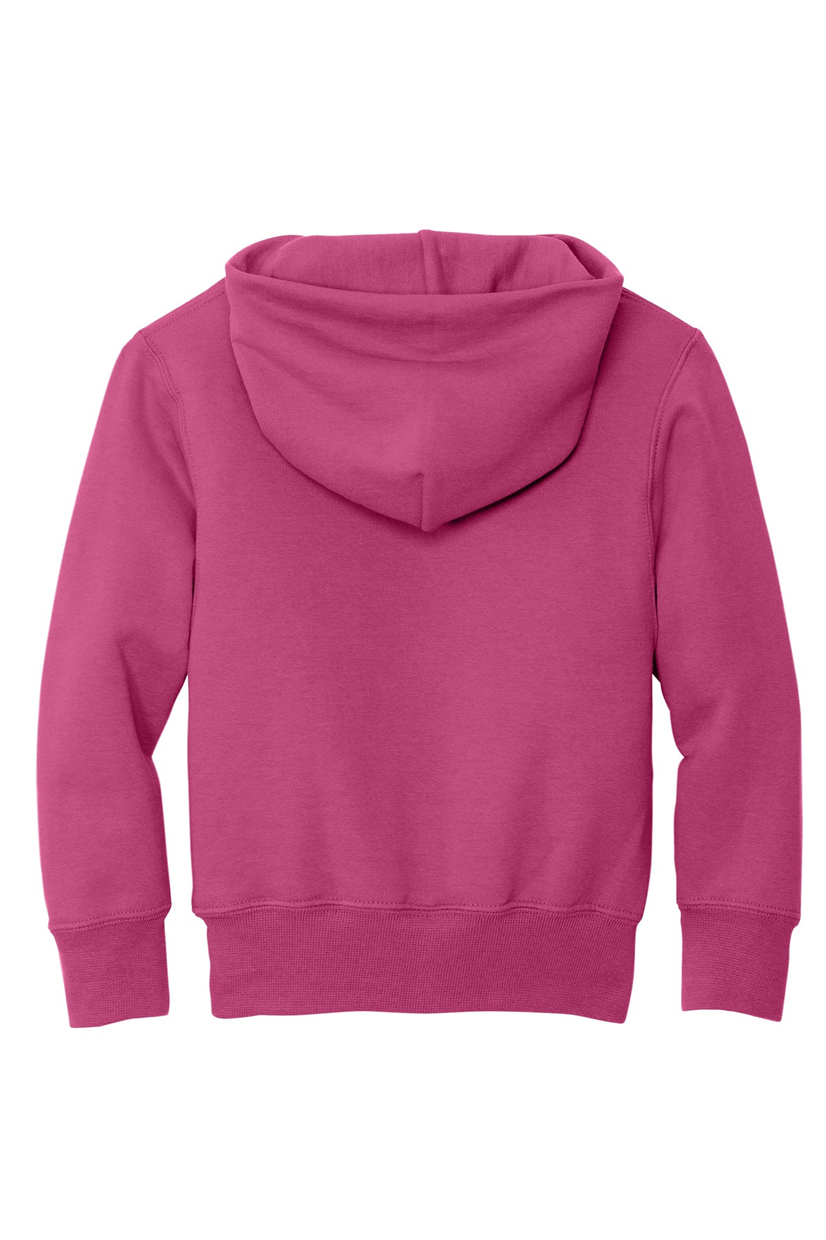Adult & Youth Hoodie | Webster Elementary