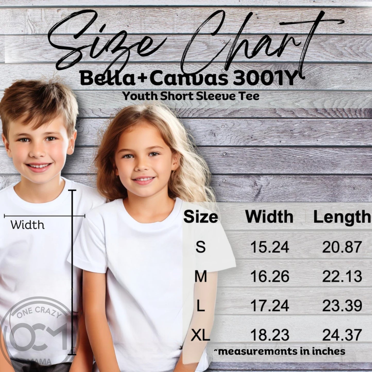 Parade Tee 2026 - Bella+Canvas Unisex Tee (FXB)