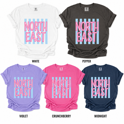 Comfort Colors - Tee & Long Sleeve Tee (NE Elementary Staff)