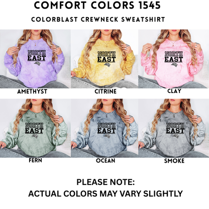Comfort Colors - Unisex Colorblast tee & Crewneck (NE Elementary Staff)