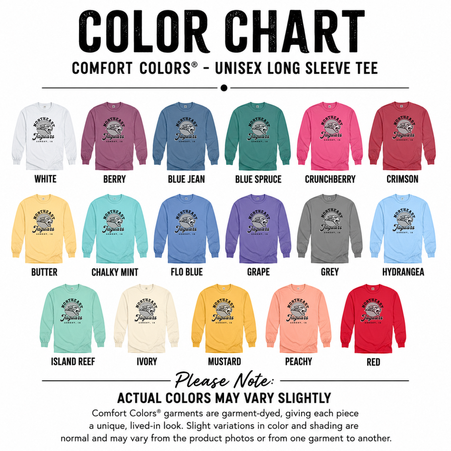 Comfort Colors - Unisex Long Sleeve Tee (NE Elementary)