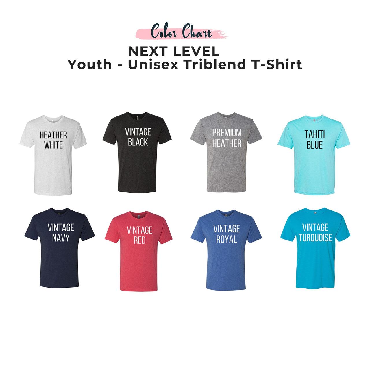 Youth - Next Level Unisex Tri-Blend Tee (Ankeny Real Estate Group)