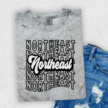 Adult & Youth - Comfort Colors (NE Elementary)