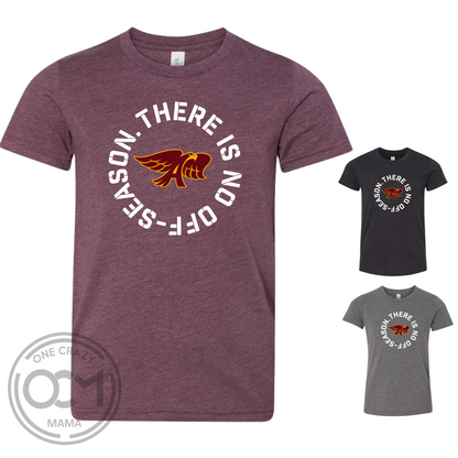 Youth - Unisex Cotton/Poly Tee - Ankeny Hawks Collection