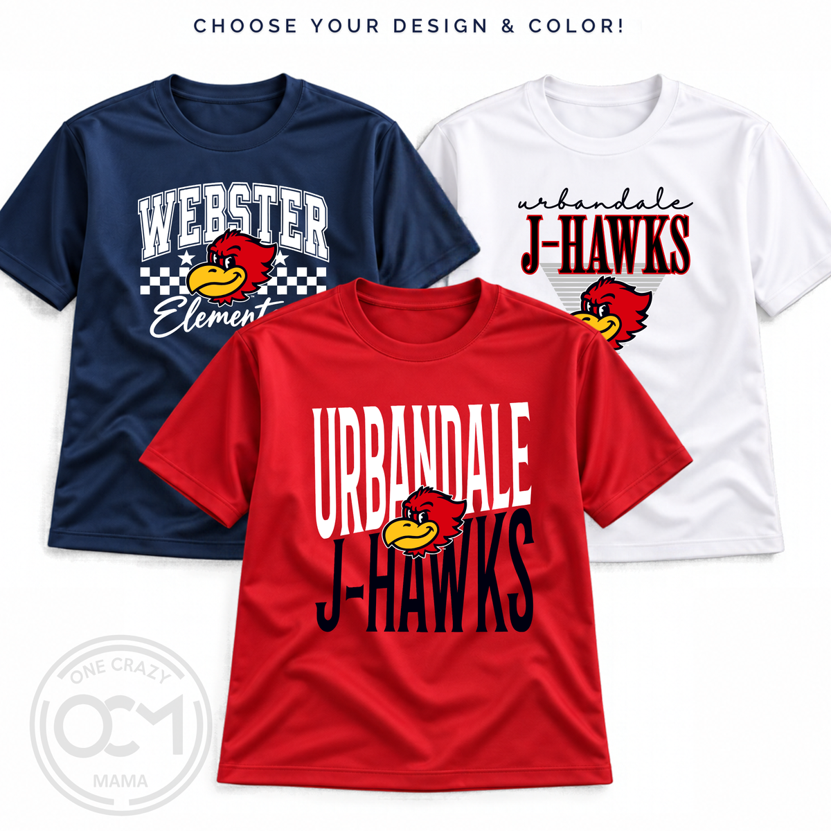 Adult, Ladies & Youth Dri-Fit Tee | Webster Elementary