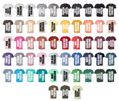 Adult - Bella Unisex Triblend Tee (Ankeny Real Estate Group)